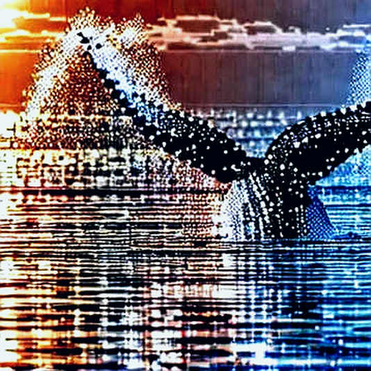 When the Leading Lights Dim: A Macro Check for Crypto's Faithful