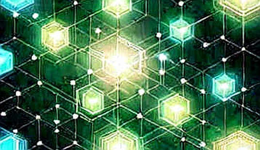 The Empty Whitepaper: A Forensic Analysis of Input Integrity Failure in Blockchain Audits