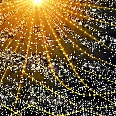 The Hash That Broke the Ledger: Movement Labs’ Chapter 11 and the Structural Fragility of Corporate L1s The Hash That Broke the Ledger: Movement Labs’ Chapter 11 and the Structural Fragility of Corporate L1s
