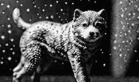 The Quiet Before the Noise: Autheo and the Macro Reality of AI Infrastructure