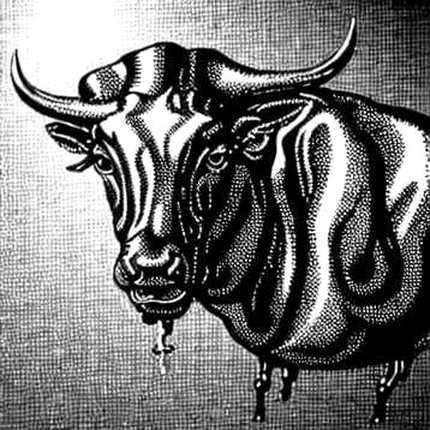 Six Dead, One Narrative: Deconstructing the Market's Geopolitical Signal-to-Noise Ratio