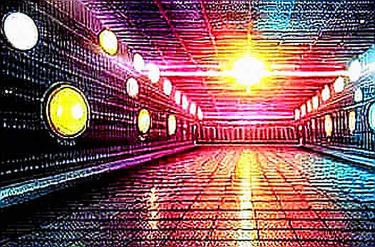 Dogecoin’s Ghost in the Machine: Why ‘Read the Whitepaper’ Is a Cry for Help, Not an Answer